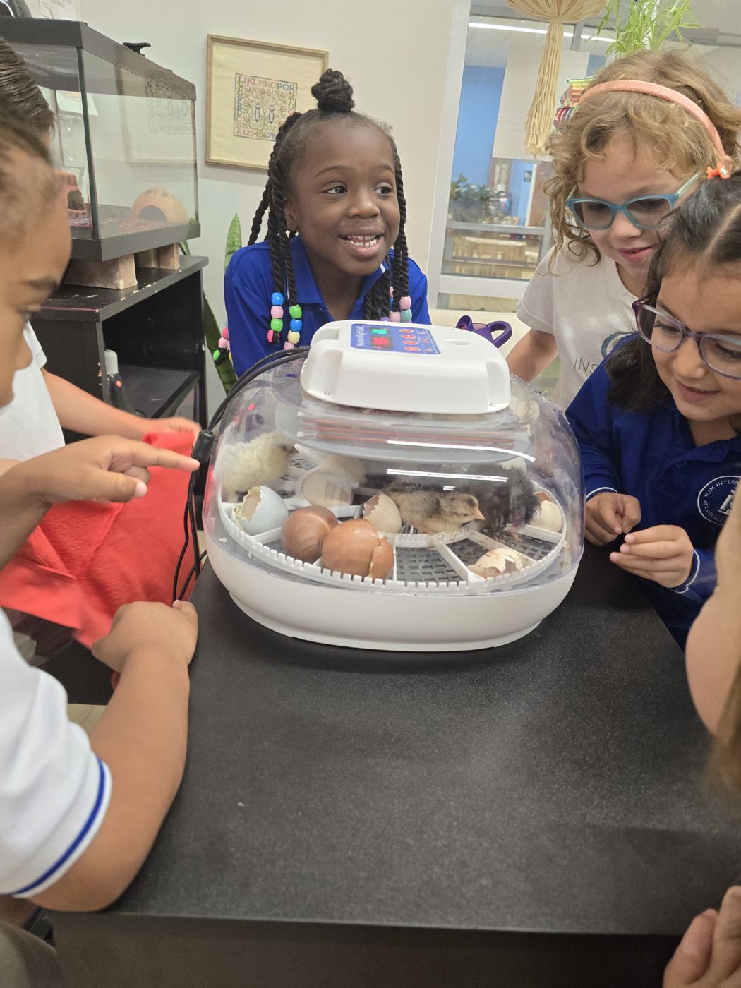 Students observing a science project